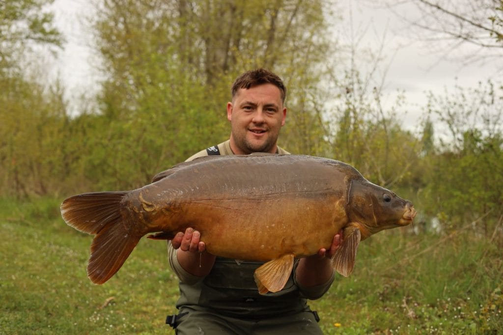 best carp bait 