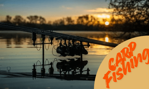 carp fishing